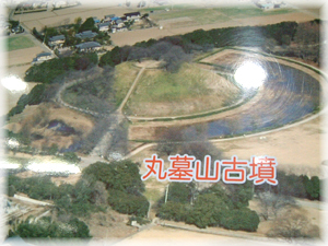 05.jpg