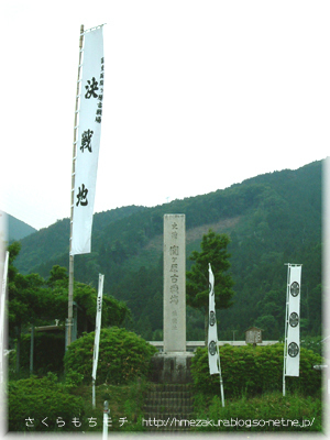 05.jpg