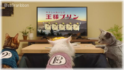 05cat.jpg