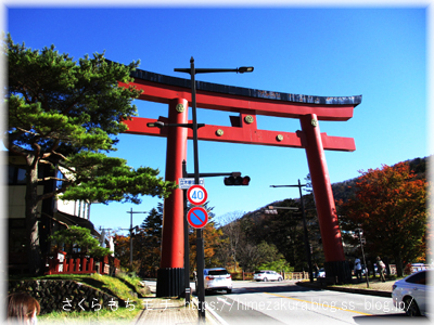 05torii.jpg
