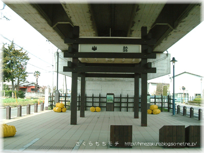 06.jpg