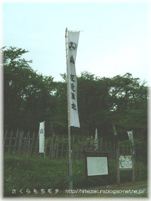 07.jpg