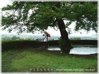 09.jpg