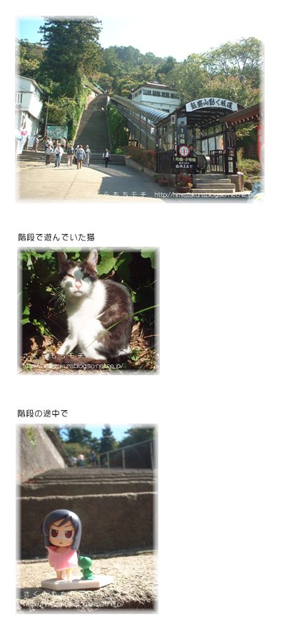 09.jpg
