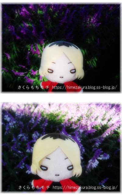 10kenma.jpg
