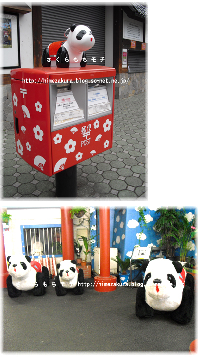 10panda.jpg