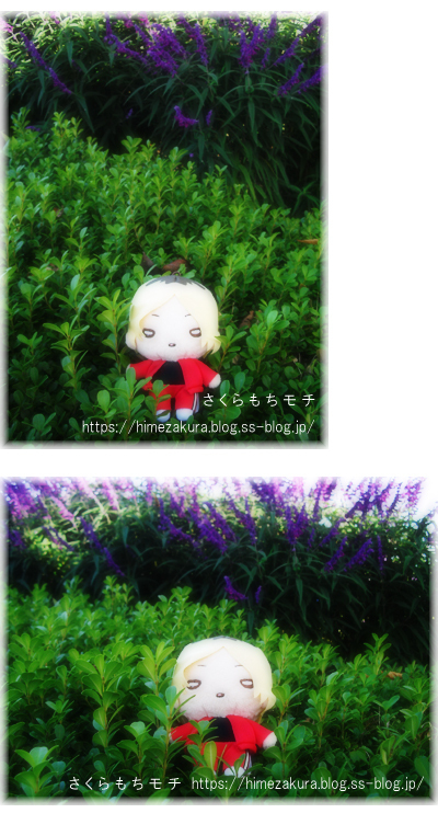 11kenma.jpg