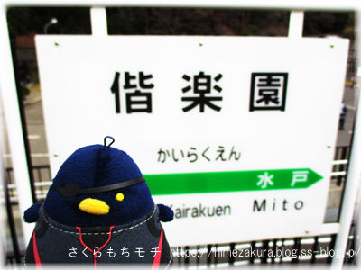 11mito_kairakuen.jpg