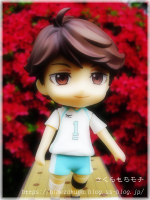 11oikawa.jpg