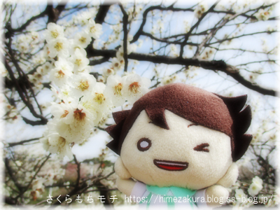 11oikawa_top.jpg