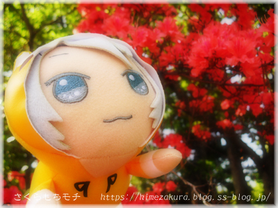 11ras_gaku_top.jpg