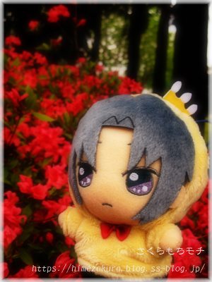 12iori_top.jpg