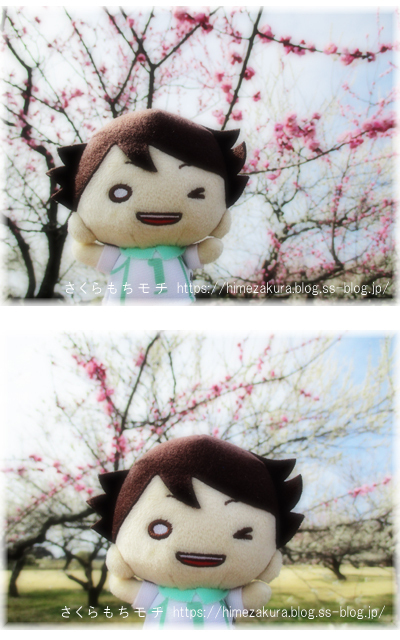 12oikawa.jpg