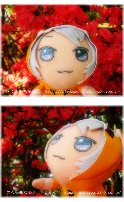 12ras_gaku.jpg