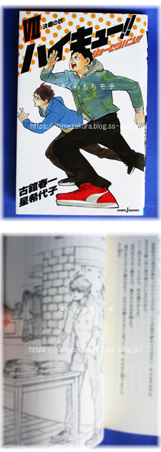 お得な情報満載 ハイキュー!!の関連書籍（排球極・ショーセツバンⅦ）: さくら 文学・小説