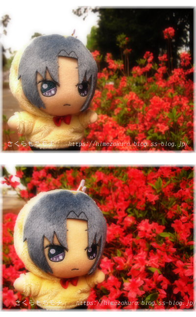 13iori.jpg