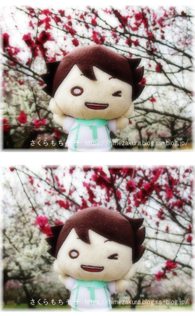 13oikawa.jpg
