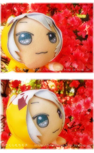 13ras_gaku.jpg