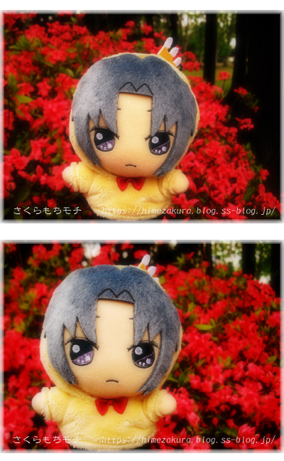 14iori.jpg