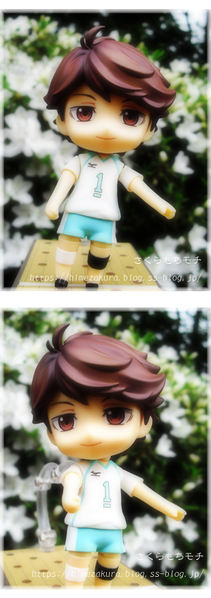 14oikawa.jpg