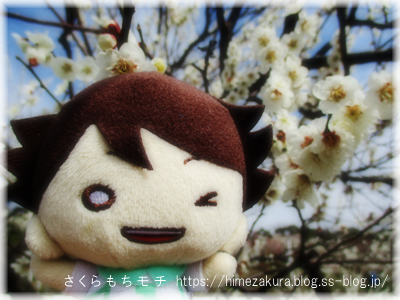 14oikawa.jpg
