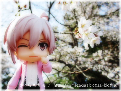14tenn_top.jpg