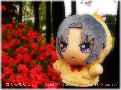15iori.jpg