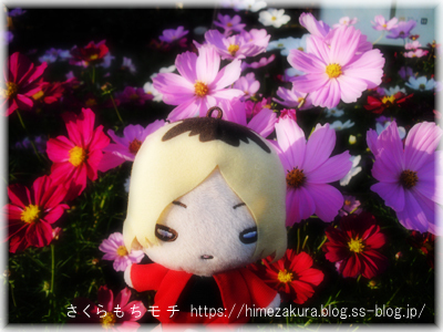 15kenma_top.jpg