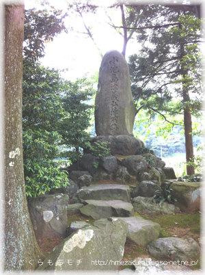 15shimazu.jpg