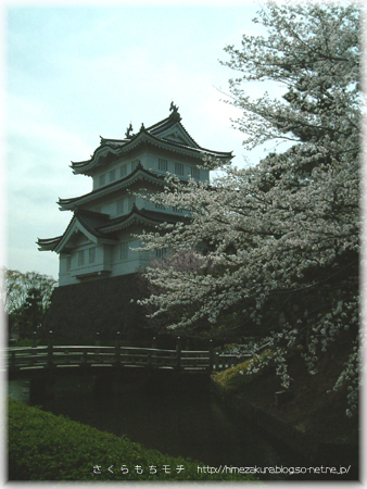 19oshijo.jpg