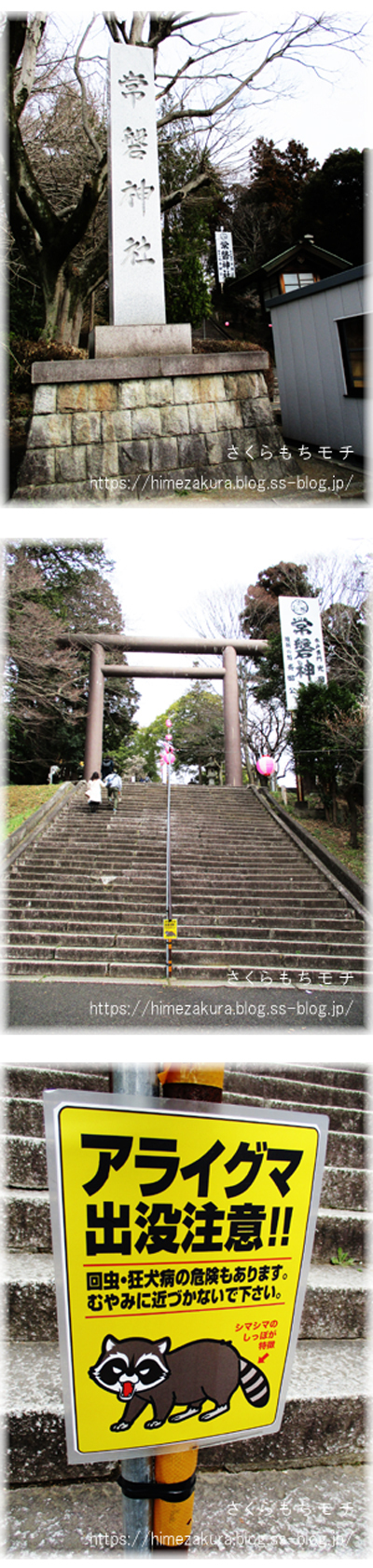 24tokiwa01.jpg
