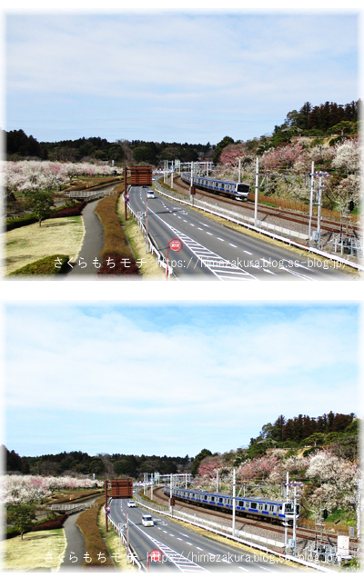 29train.jpg