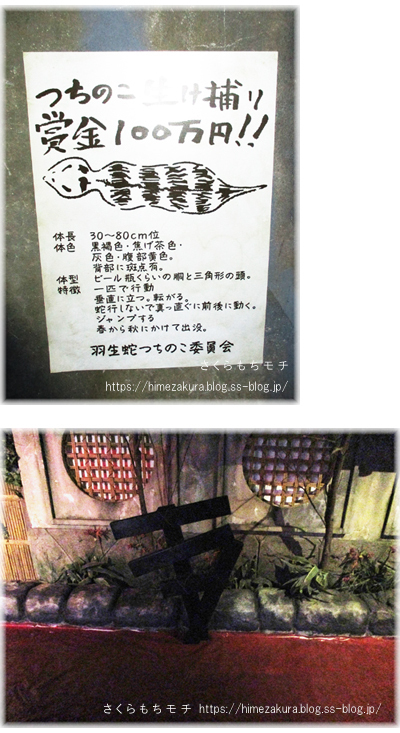 31nanja_tsuchinoko.jpg