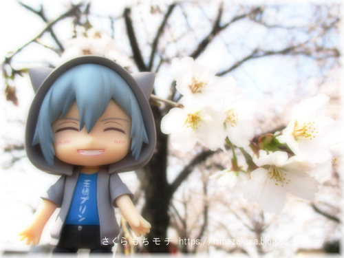 31tamaki.jpg