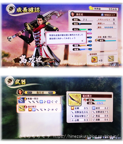 32sakonR.jpg