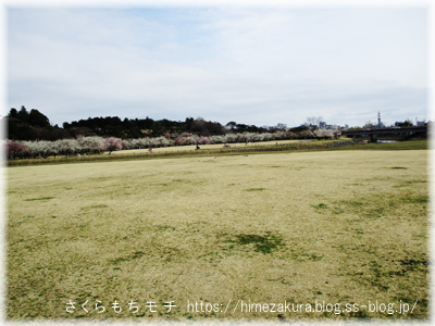 33park.jpg