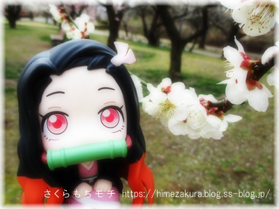 38nezuko_top.jpg