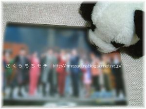 g08.jpg
