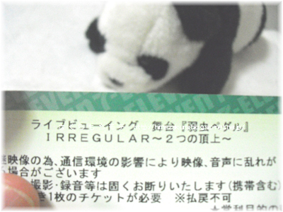 pedaru.jpg